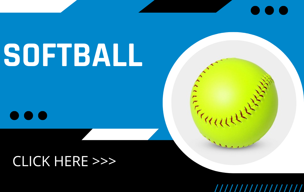 Motor Preferences Softball Experts